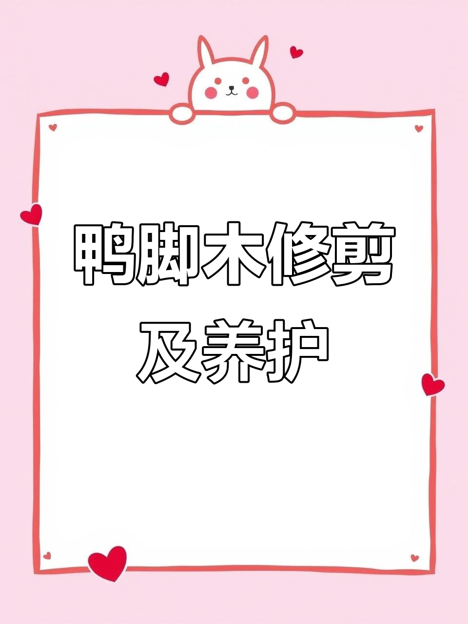 鸭脚木修剪造型与日常养护技巧，打造独特飘枝效果