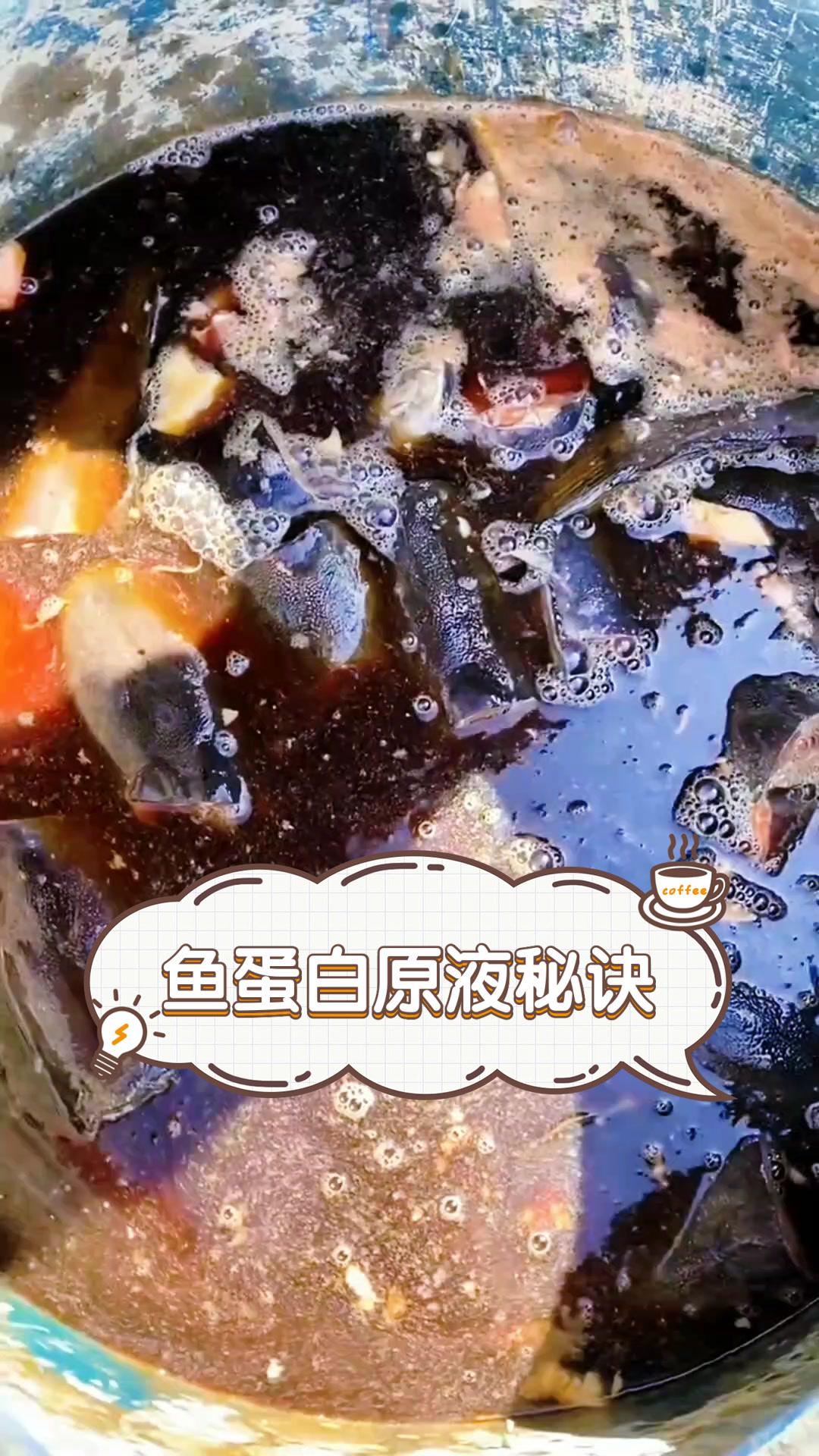 鱼蛋白原液秘诀