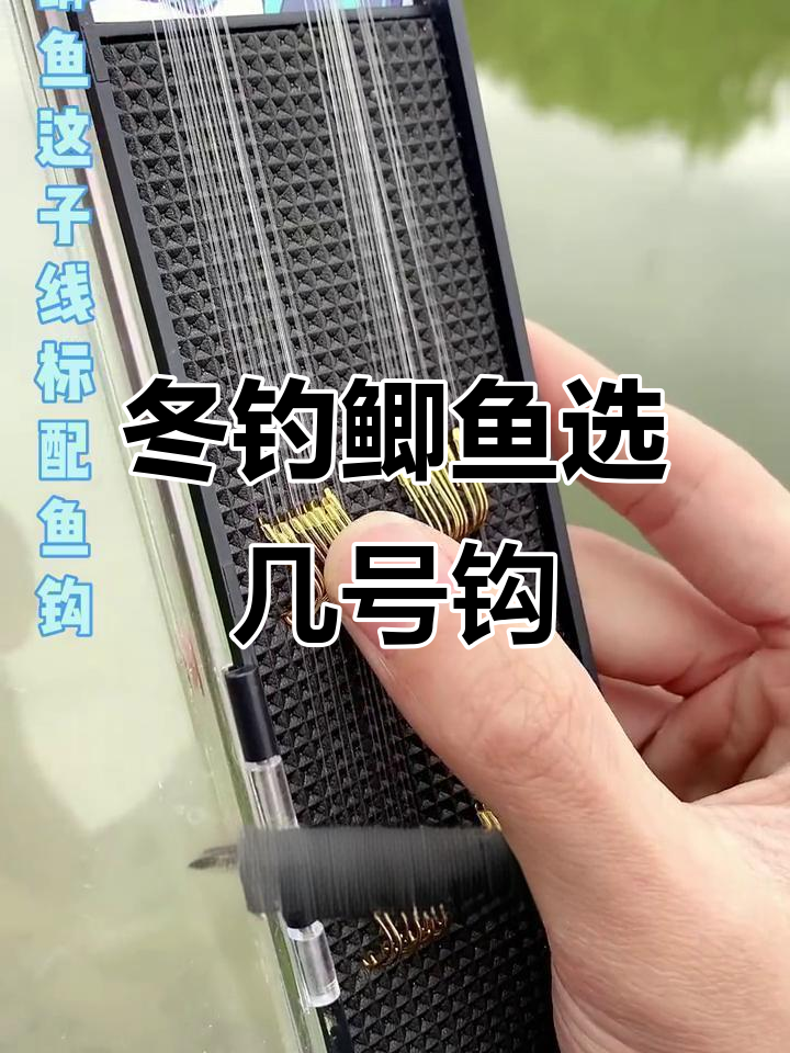 钓鲫鱼用几号钩最合适?冬季必备双钩子线搭配