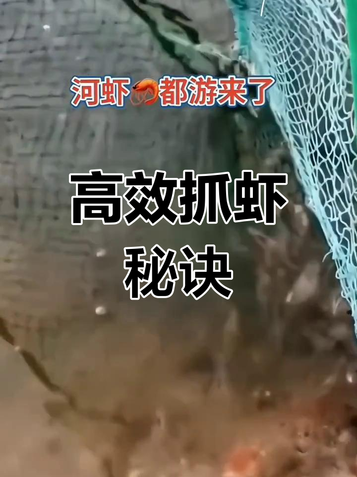 羊油饵料,轻松抓河虾