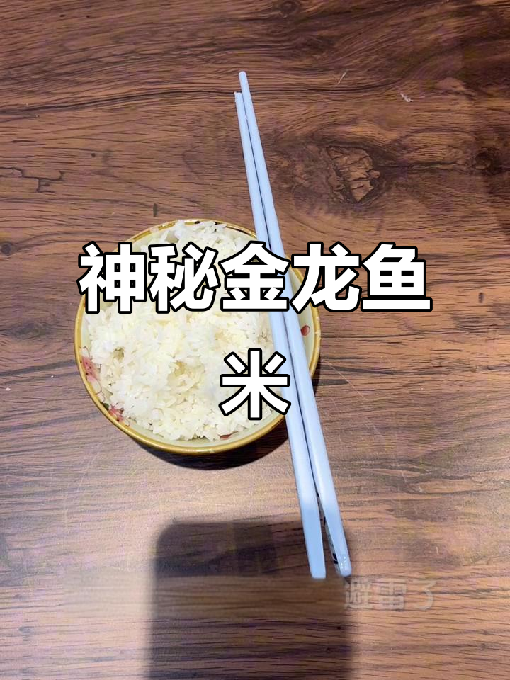 金龙鱼大米包装神秘,口感才是关键!