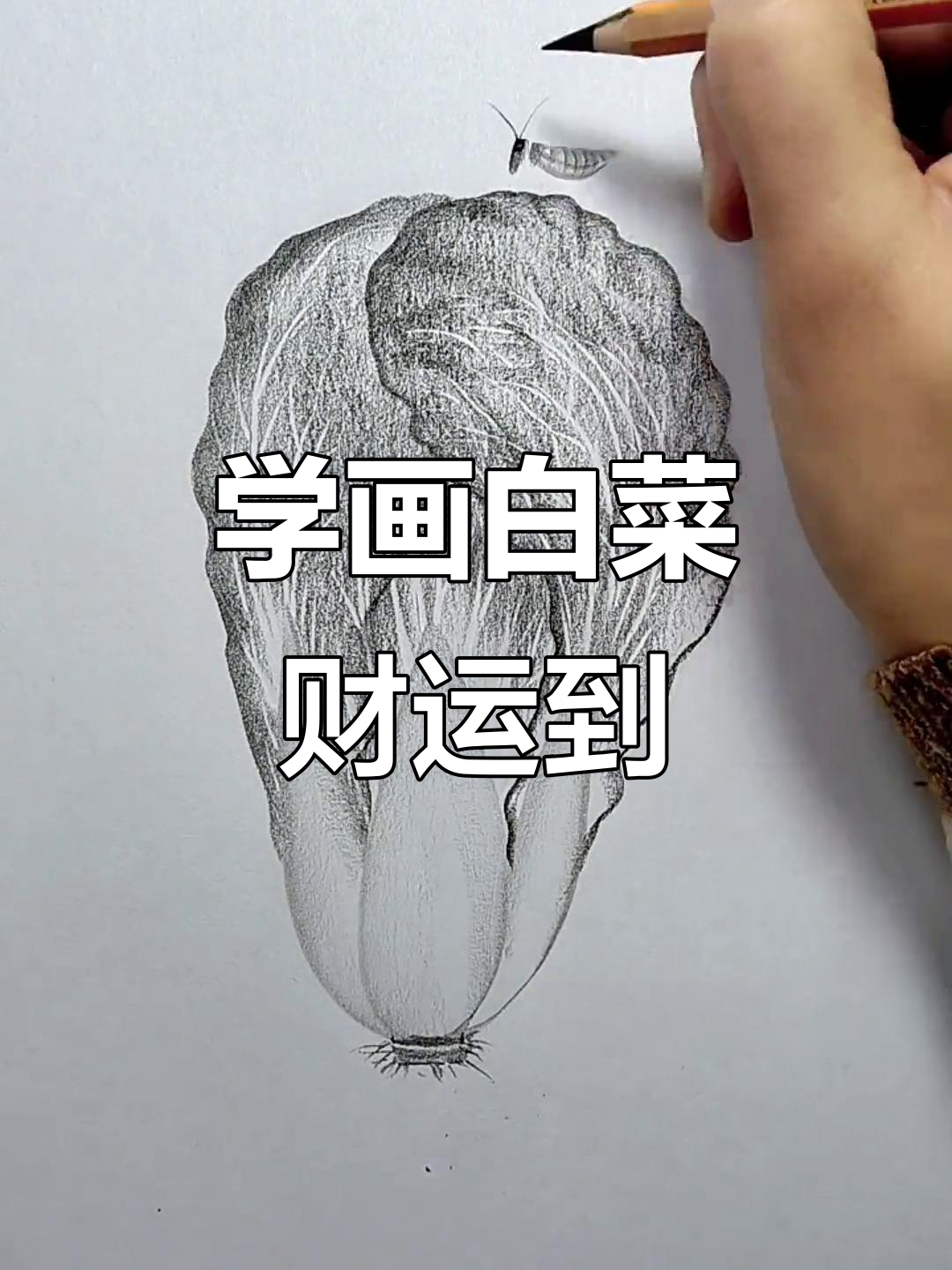 简单几笔画出白菜，寓意百财好运来