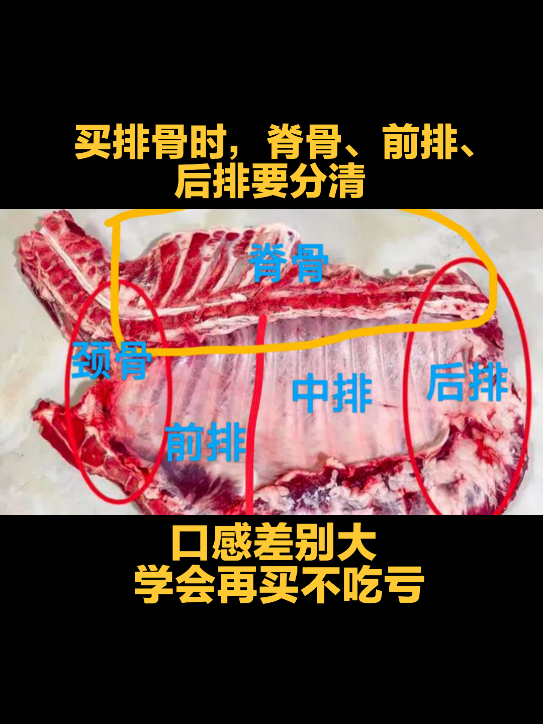 买排骨时,脊骨、前排、后排要分清,学一学