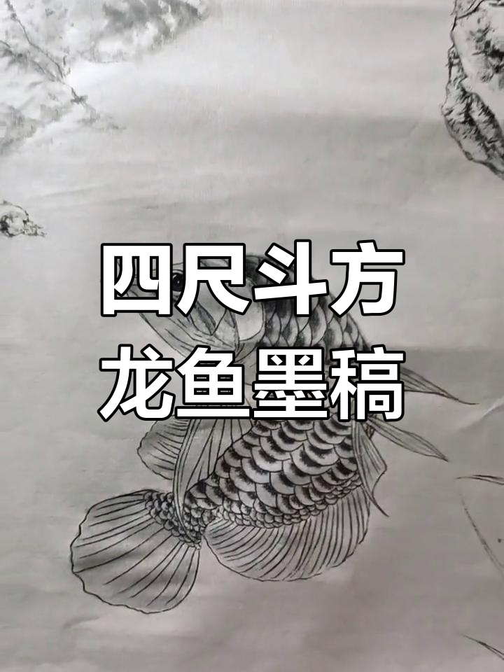 第五十一天，四尺斗方龙鱼系列完成墨稿