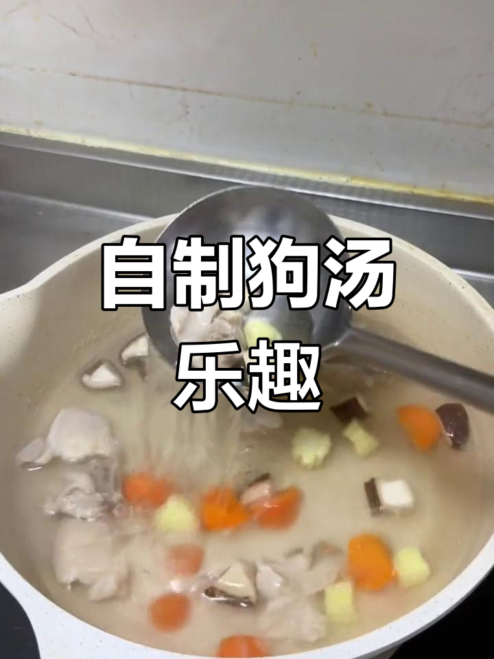 再次为狗狗做椰子鸡汤,真是停不下来!