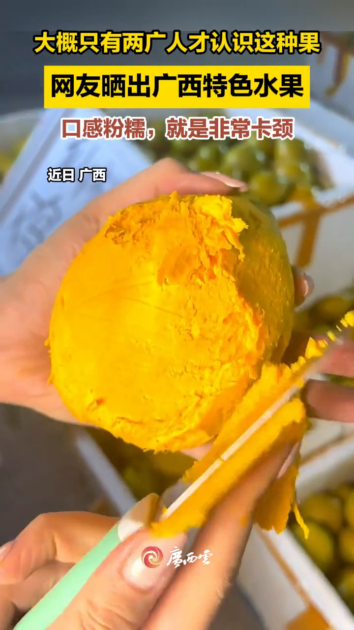 广西“水果通”在哪,快来看看你认识这种口感特别的水果吗?