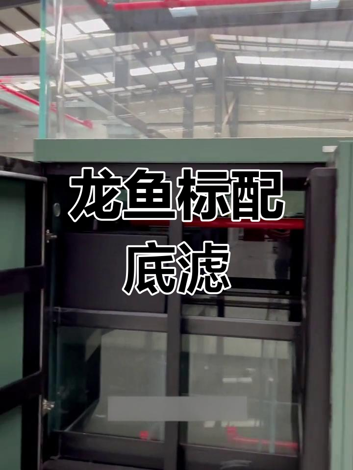 高品质底滤系统,龙鱼专用超白缸