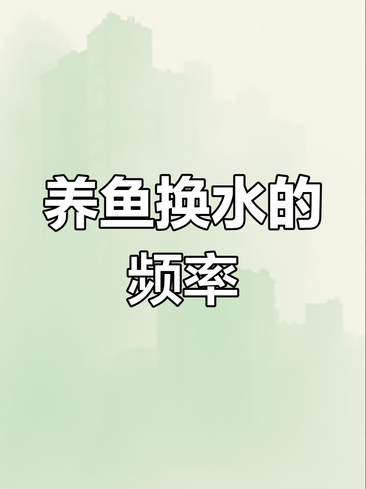 迷你鹦鹉鱼养殖技巧:多久换水一次最合适?