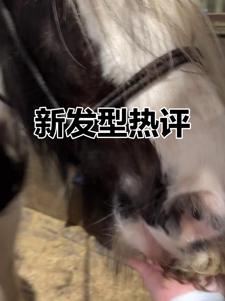 美男Cowboy新发型,鱼骨辫与长刘海引发热议