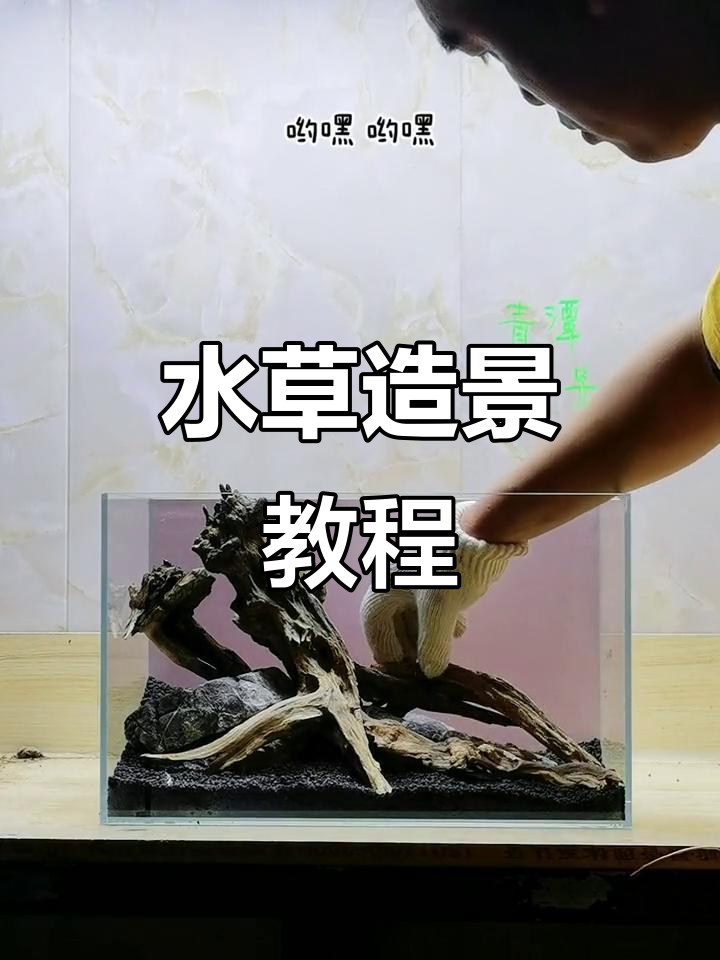 40厘米鱼缸造景全攻略,骨架固定与种草步骤即将揭晓