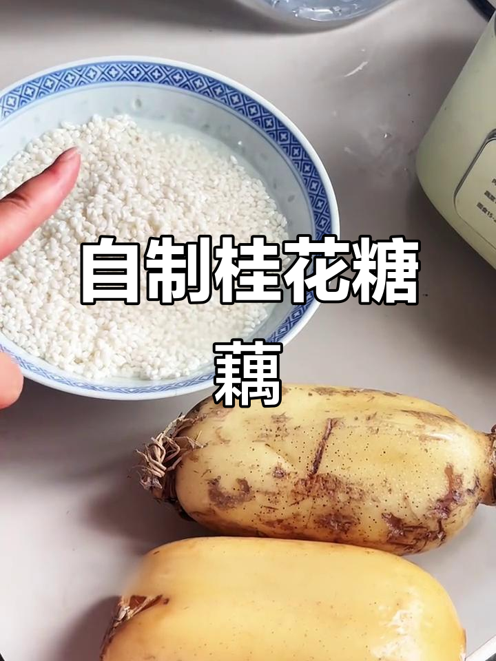秋日桂花糖藕，糯米塞满莲藕的秘诀与做法