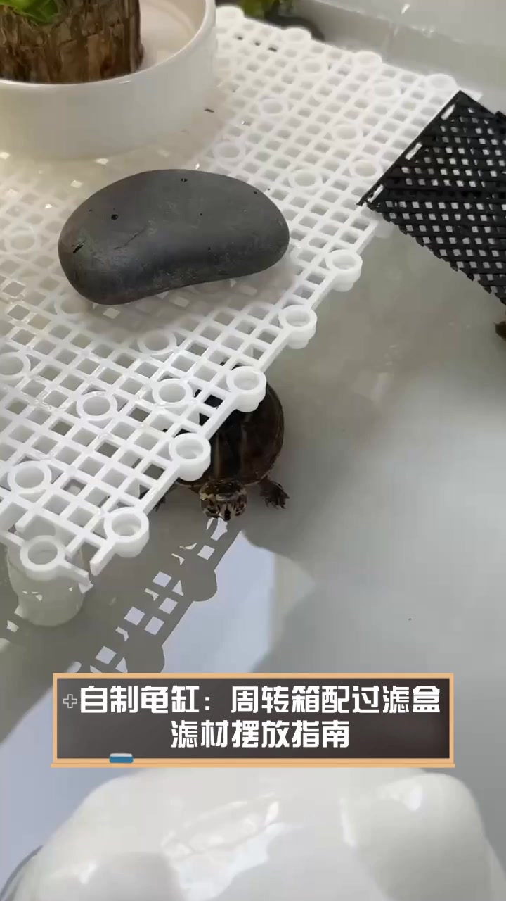 自制龟缸:周转箱配过滤盒,滤材摆放指南