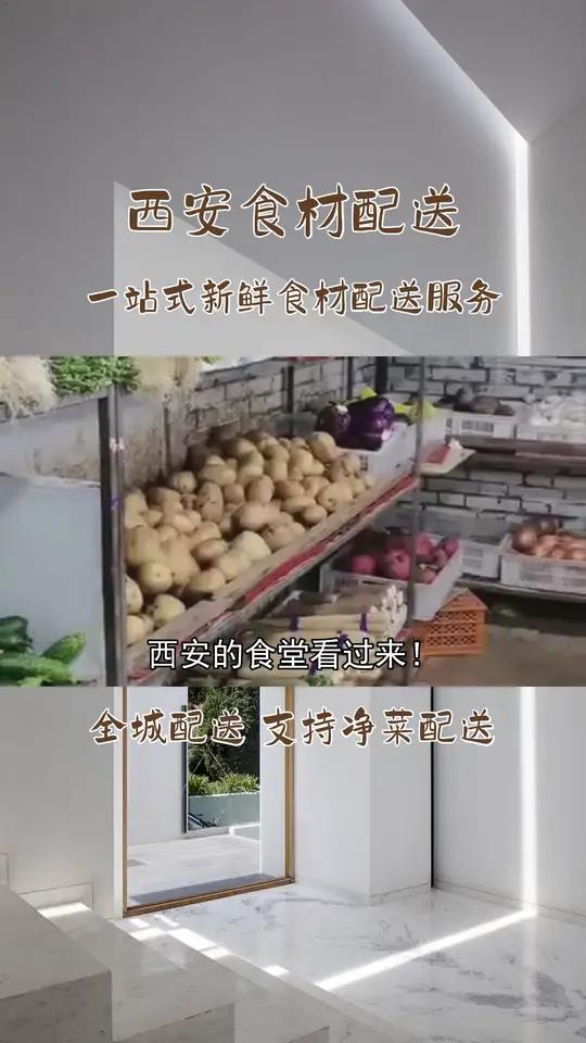 蔬菜新鲜采摘,即时,让每一餐都充满生机