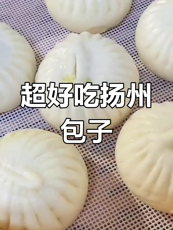 扬州包子大揭秘!鲜肉青菜包,蒸十分钟就能吃