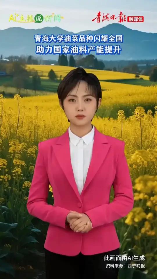 AI主播说新闻｜青海大学油菜品种闪耀全国，助力国家油料产能提升！