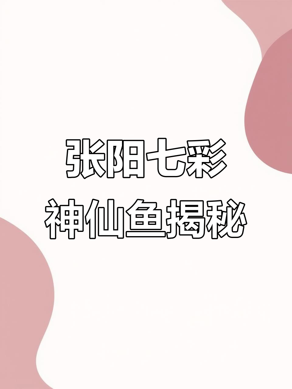七彩神仙鱼与蛇的奇妙世界,红蓝松石、黄金纹路一网打尽