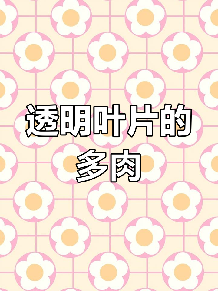 樱水晶:南非特产的多肉植物