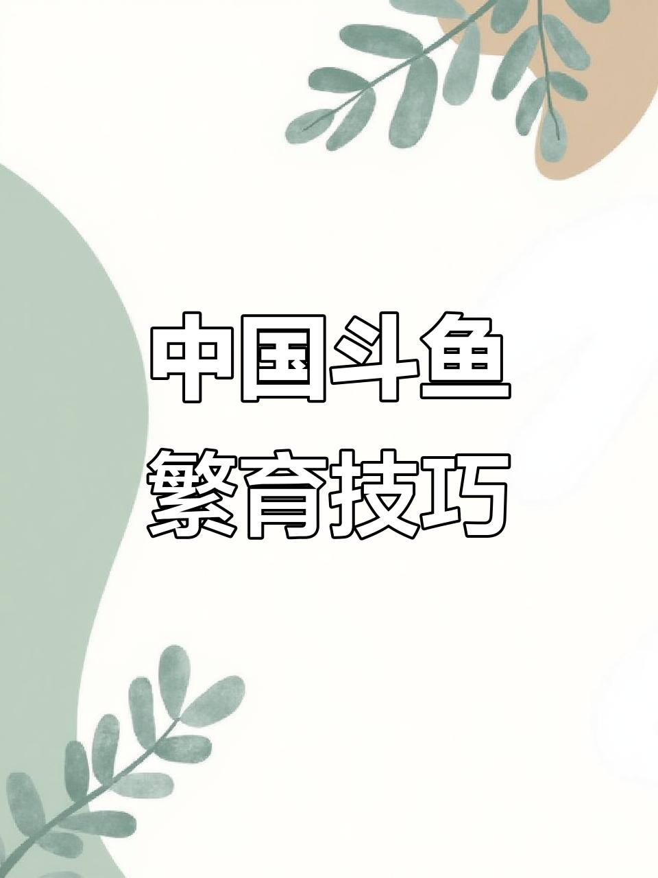 斗鱼繁殖技术揭秘,如何让普叉更健康