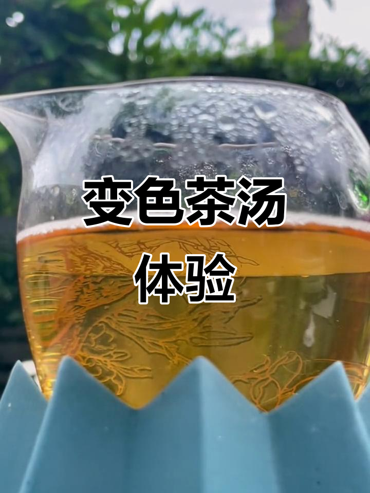 一杯变色茶汤,感受安化黑茶的魅力与变化