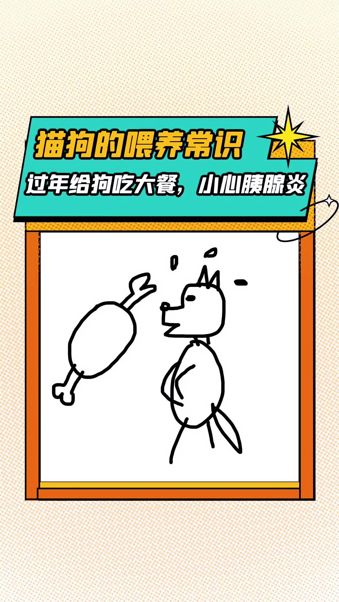 过年给狗吃大餐,小心胰腺炎。科学养宠攻略 胰腺炎