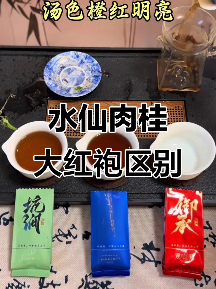 武夷岩茶三大经典:水仙、肉桂与大红袍的区别