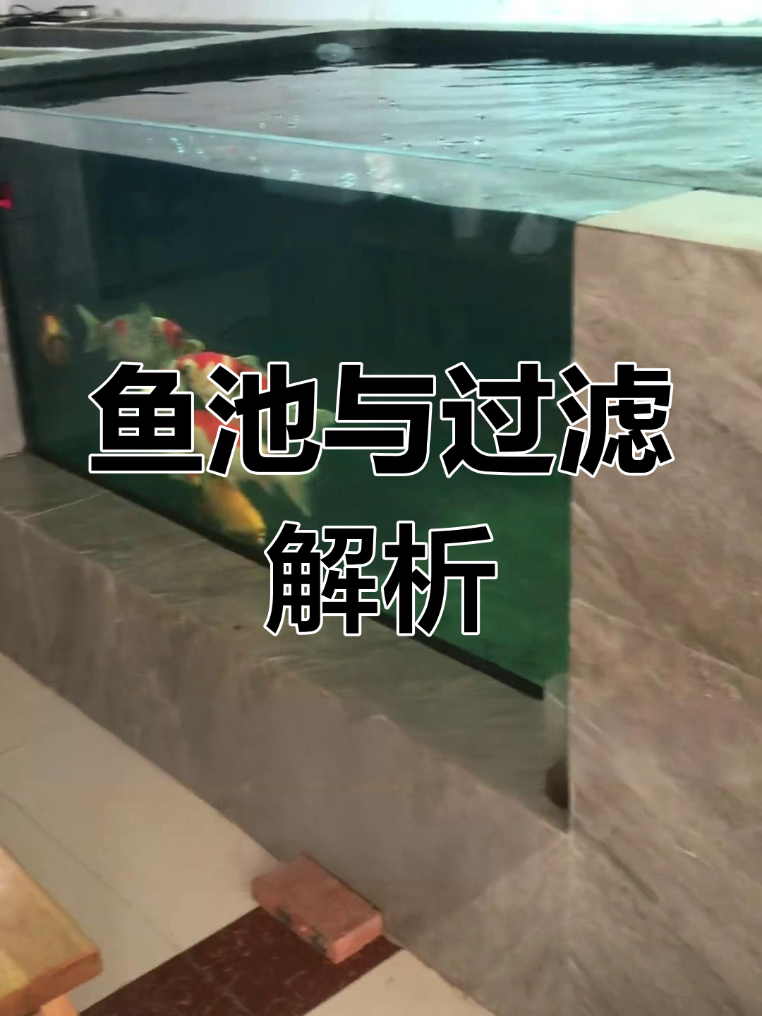 客厅鱼池揭秘,过滤系统详解