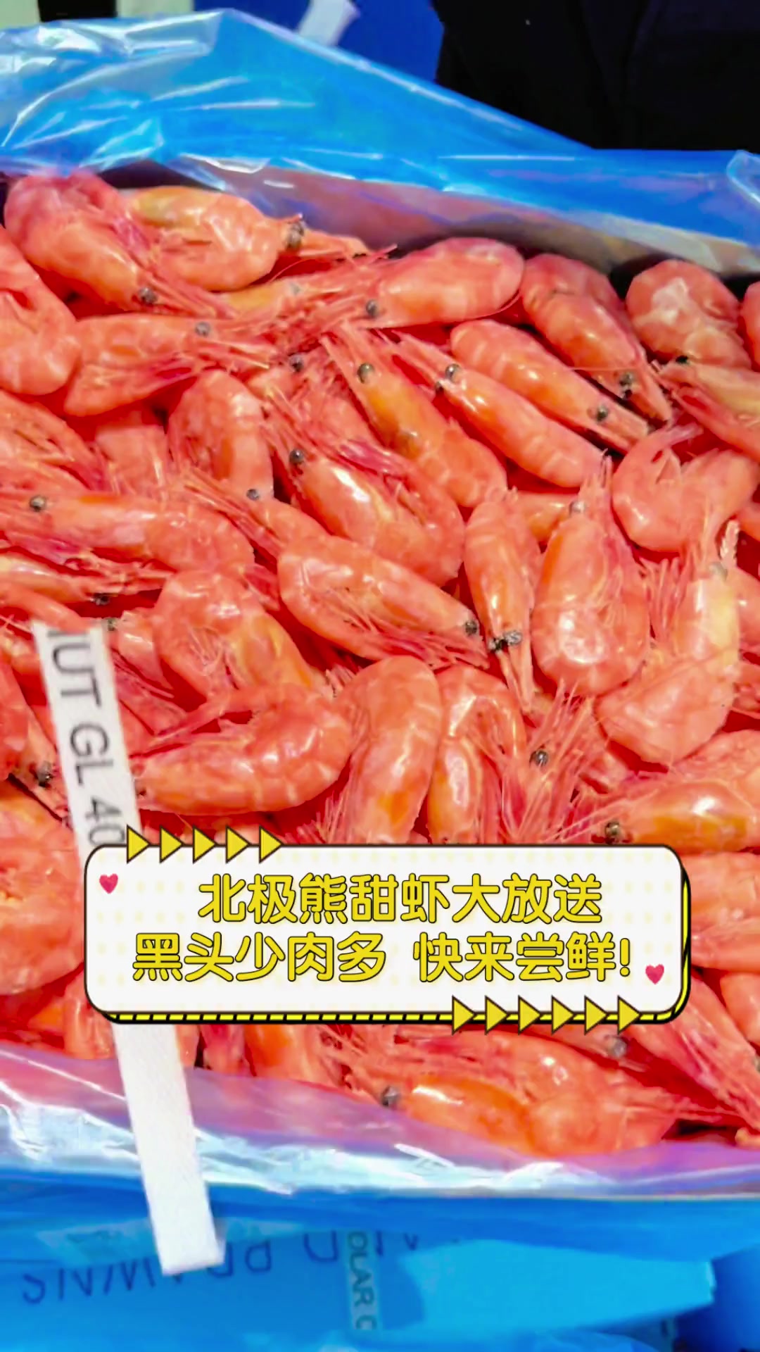 北极熊甜虾大放送,黑头少肉多,快来尝鲜!