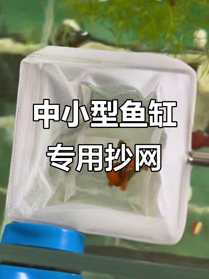 3D小鱼捞网,轻松捕捉中小型鱼缸里的每一个角落