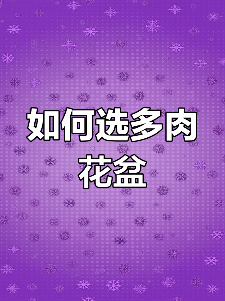 多肉换盆指南:如何选择合适的花盆