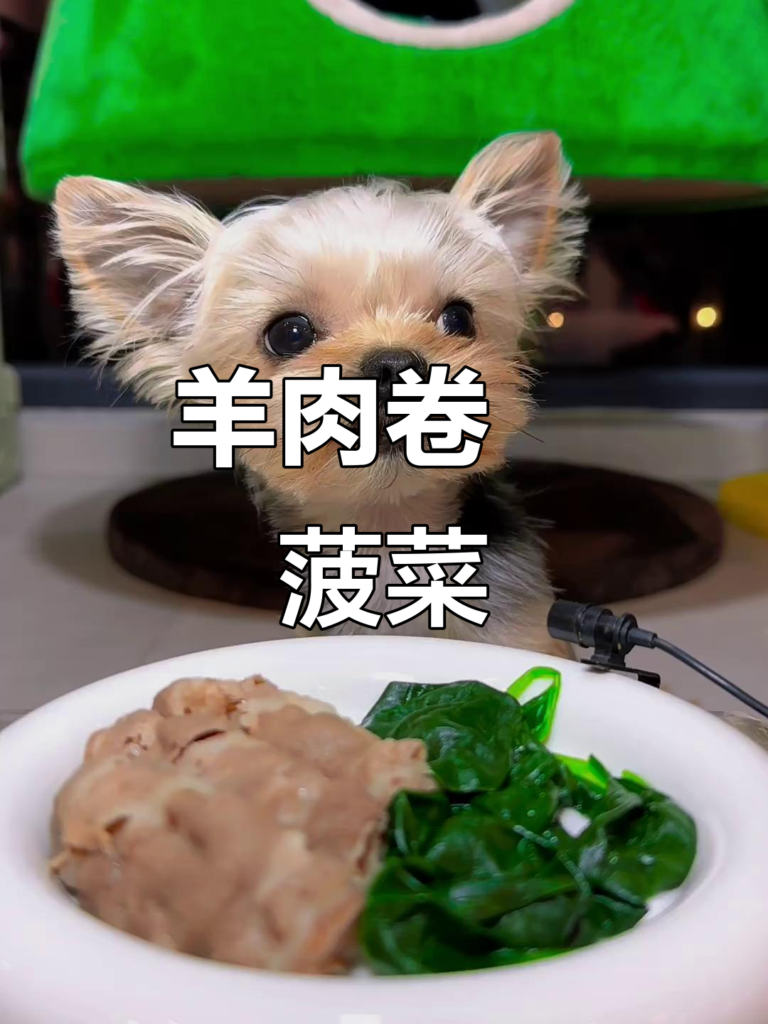 羊肉卷配菠菜,美味又营养