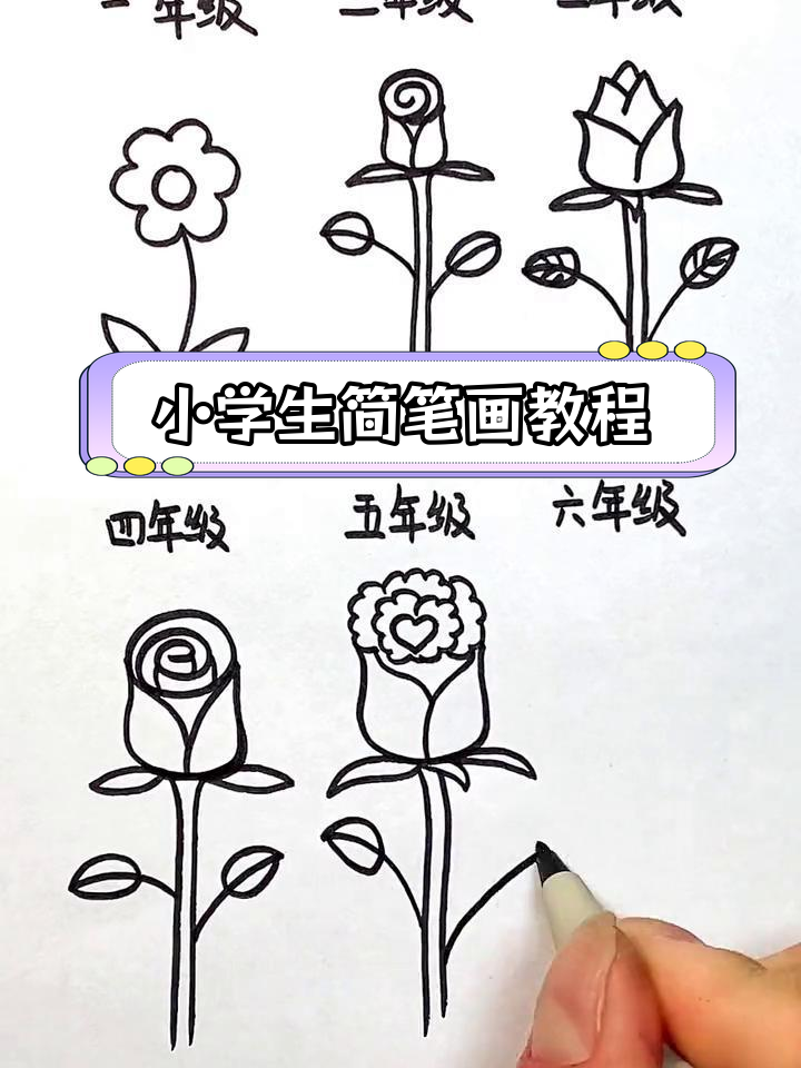 不同年级小学生画玫瑰花的技巧