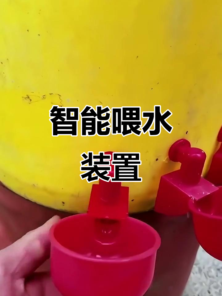 自动饮水器让鸡鸭喝水更方便,水满自动停无需人工干预