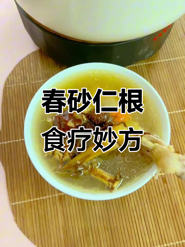 春砂仁根的暖宫养生功效,喝出好气色