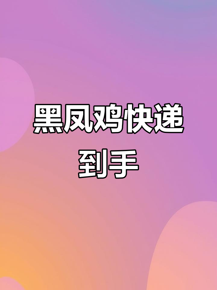 网购黑凤鸡到家,健康状况良好