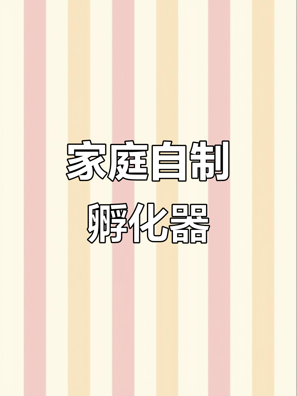 自制小鸡孵化机,能成功孵出小生命吗?
