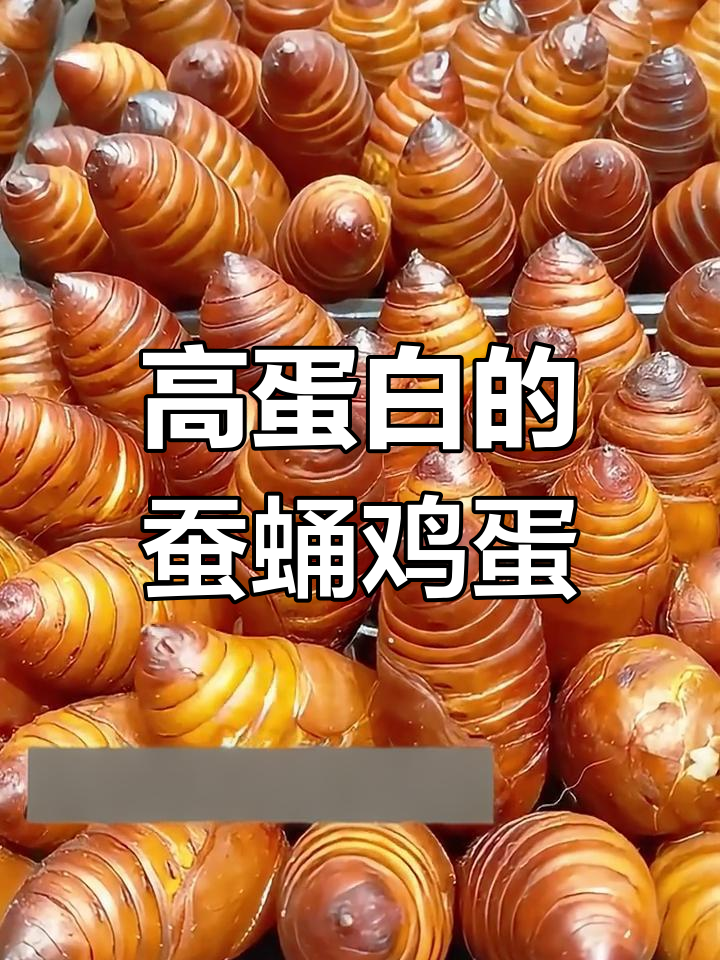 蚕蛹鸡蛋的营养价值揭秘