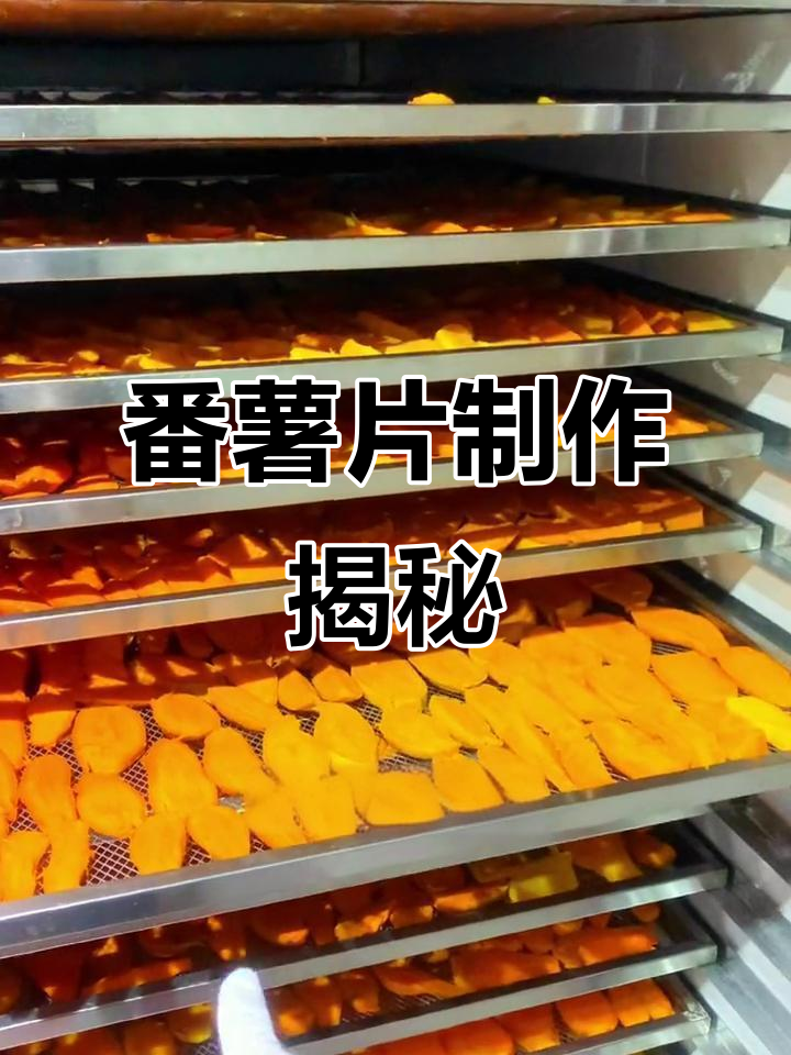 1000斤番薯变150片,精选无瑕疵,明天新鲜出炉!