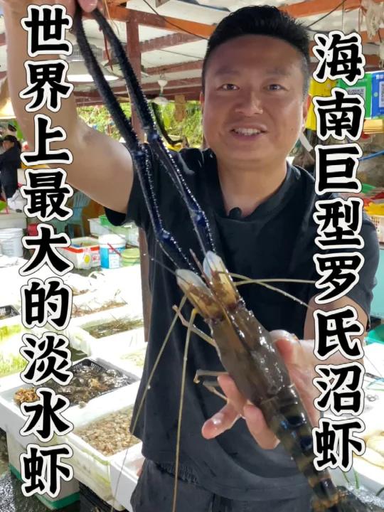 海南野生巨型罗氏沼虾,不愧是世界上最大的淡水虾!比我的小腿还要长,用台湾的胡椒虾做法尝尝味