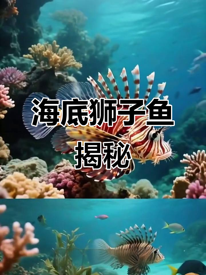 狮子鱼:海底小明星,防身武器超酷!