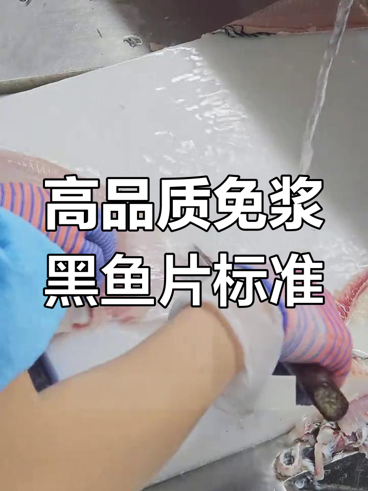 黑鱼片品质大揭秘:如何挑选无刺、嫩滑的高品质黑鱼片