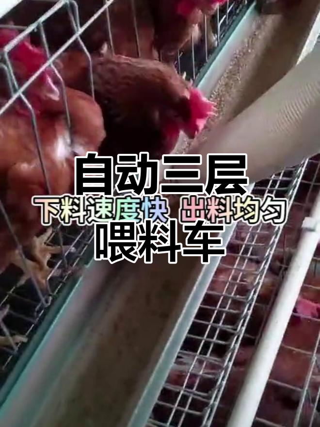 三层旋转喂料车,省时又省力,自动行走解放人工