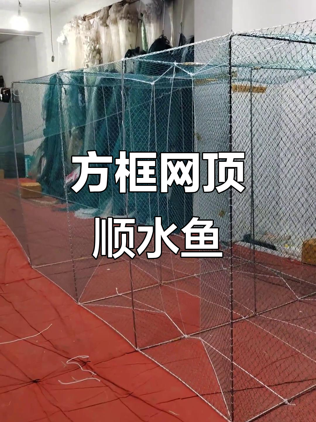 拦河方框网轻松捕捞,顺水鱼全拿