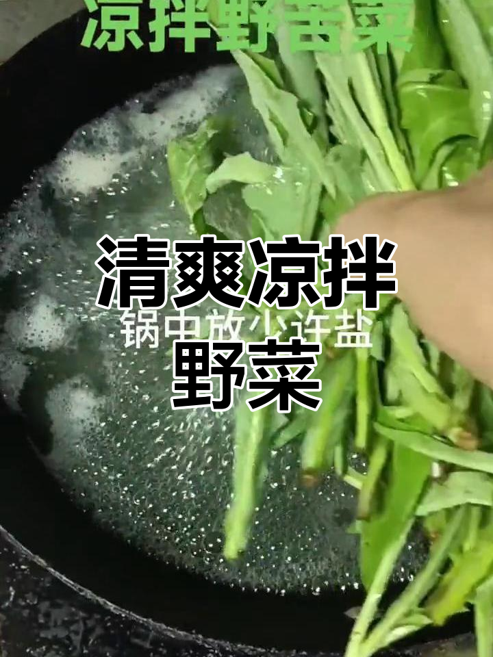 夏日清凉,凉拌野苦菜