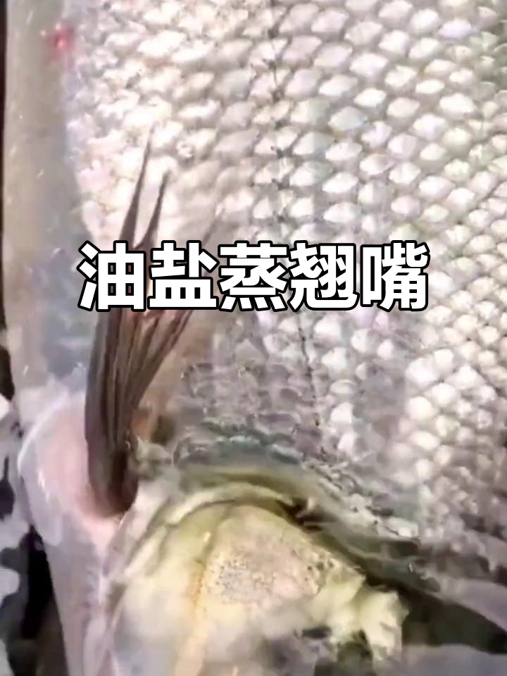 油盐水蒸翘嘴鱼,鲜嫩美味轻松做