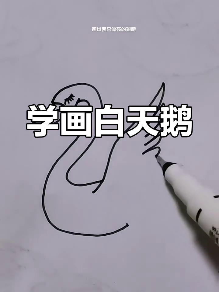 轻松学画白天鹅,简单步骤教你画出美丽翅膀