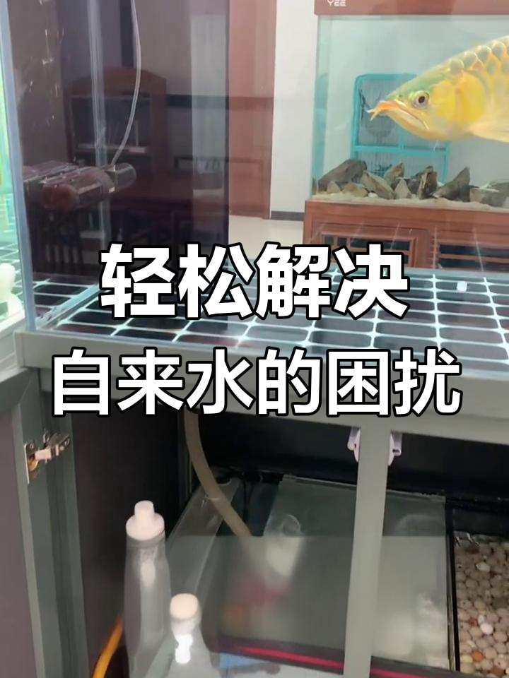 如何让自来水变适合养鱼?三步搞定困水问题