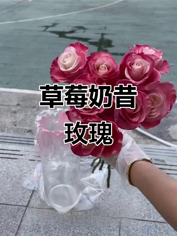 草莓奶昔玫瑰,七夕必备花束!