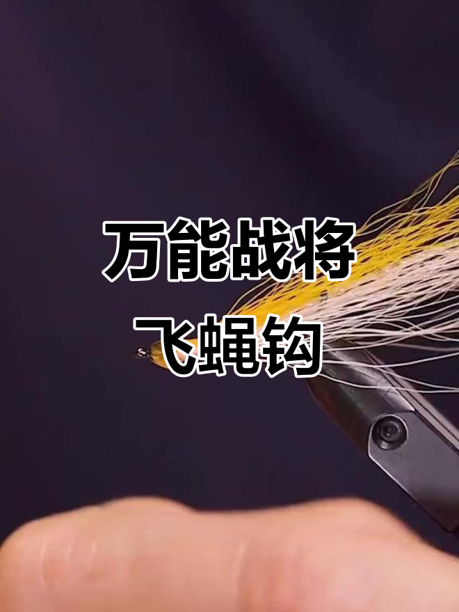 超级无敌飞蝇钩,轻松搞定各种掠食性鱼类
