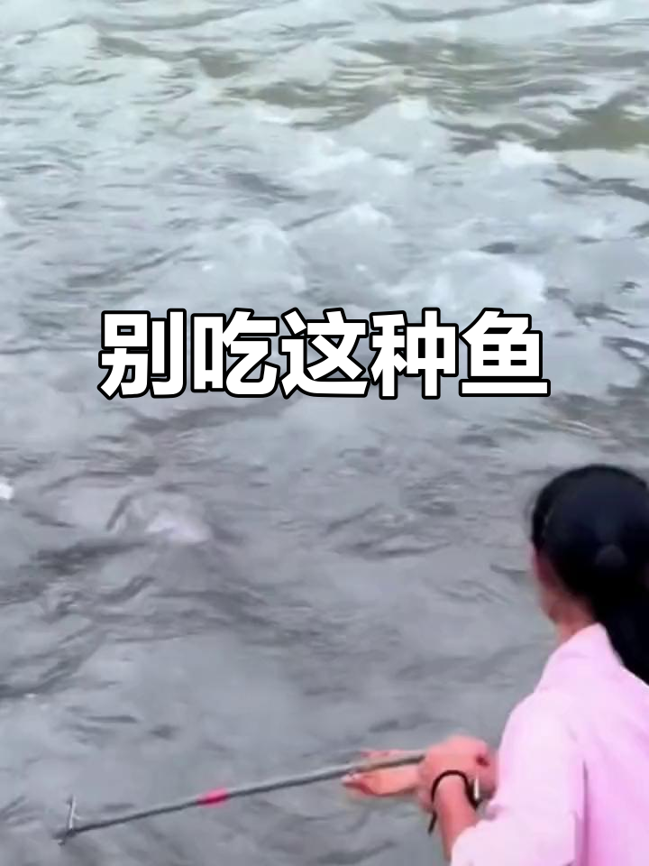 贵州黄辣丁与石扁头：美味却濒危，别乱抓！