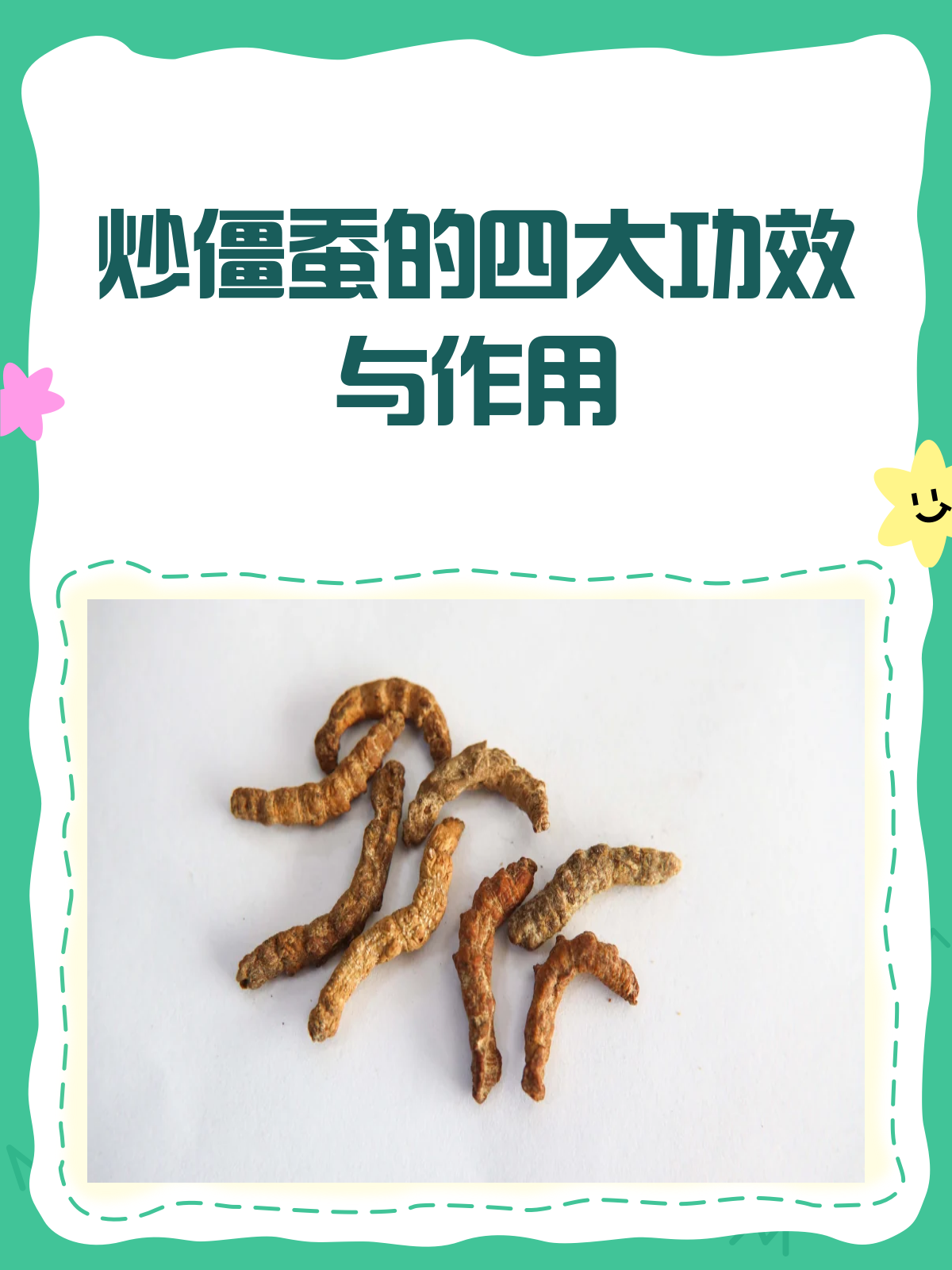 炒僵蚕，小小虫子大作用！